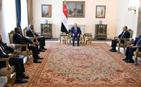 السيسي ووزير التعاون الدولي بجنوب إفريقيا يؤكدان أهمية وضع أولويات التنمية الإفريقية على الأجندة الدولية