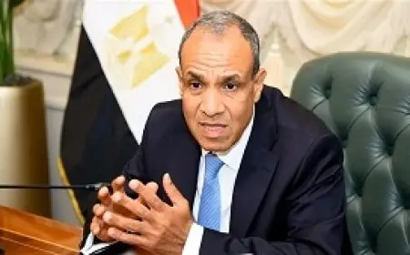 وزير الخارجية: نسعى للارتقاء بمستوى العلاقات مع جنوب إفريقيا إلى مستوى الشراكة الاستراتيجية