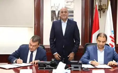 جهاز تنمية المشروعات يساهم بـ 2.5 مليون دولار في صندوق تنمية كابيتال فنشرز (2)