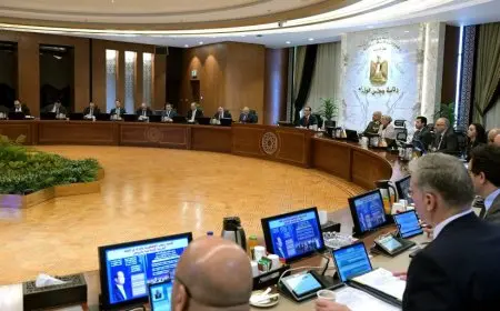 مجلس الوزراء يوافق على مشروع قانون بشأن تنظيم نشاط منشآت الأمن والأمان البيولوجي