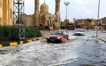 3 أيام طوارئ.. الأرصاد تعلن خريطة سقوط الأمطار في مصر