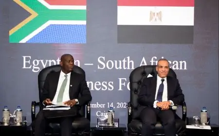 وزيرا خارجية مصر وجنوب إفريقيا يشاركان في منتدى الأعمال المشترك المصري الجنوب إفريقي