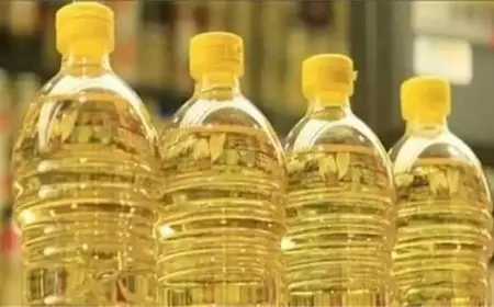 شعبة المواد الغذائية: زيادة أسعار الزيوت بنسبة 18.5% غير مبررة وتعود للمُنتج