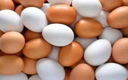 خريطة الأسعار اليوم: انخفاض أسعار الدواجن و البيض وارتفاع الذهب