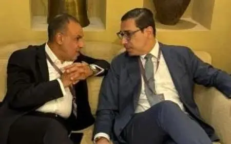 عبدالعاطي يبحث مع نطيره القبرصي تطوير التعاون