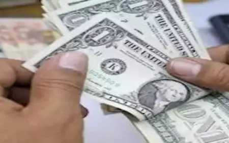 اقتصادي: استقرار سعر صرف الجنيه يهيئ بيئة جاذبة للاستثمار