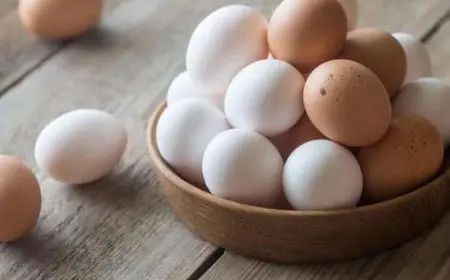 شعبة بيض المائدة: الأسعار انخضفت قبل استيراد البيض التركي