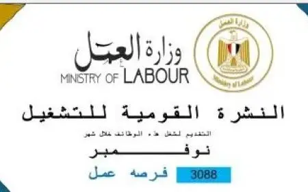 العمل: 3088 فرصة جديدة في 36 شركة بـ8 محافظات