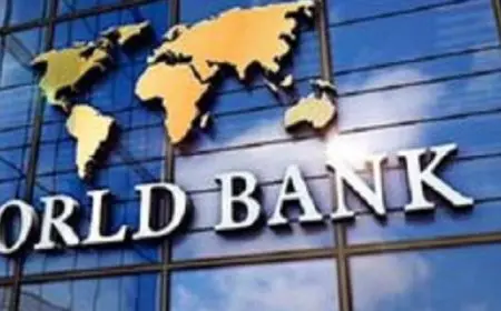 البنك الدولي يؤكد استعداده لدعم جميع البلدان في تنفيذ إعلان “العمل الرقمي الأخضر”