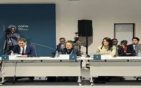 ” المشاط” تُشارك في جلستين حول فجوة تمويل التكيف مع التغيرات المناخية