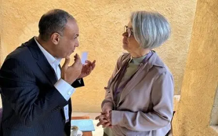 وزير الخارجية يؤكد حرص مصر على تحقيق الاستقرار في السودان