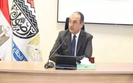 بعد عودة النصر للسيارات..وزير قطاع الأعمال: الطريق أمامنا ليس سهلاً