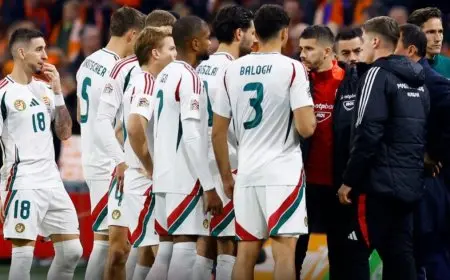 توقف مباراة هولندا والمجر لسبب طبي.. وسوبوسلاي يبكي