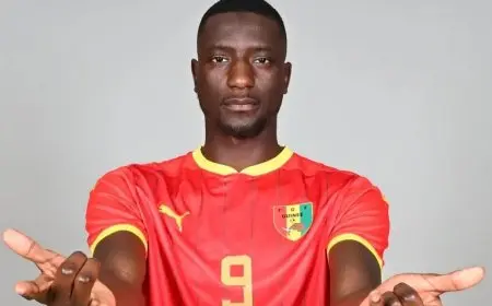 على طريقة إبراهيموفيتش.. مهاجم دورتموند يُقرّب غينيا من كأس إفريقيا