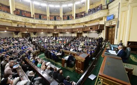 تعرف على مزايا ومعالم مشروع قانون لجوء الأجانب