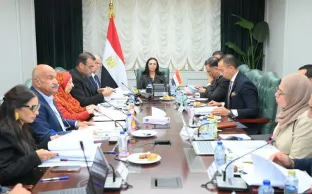 التضامن: إجمالي حجم تمويل أنشطة التمكين الاقتصادي 300 مليون جنيه