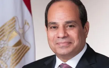 الرئيس السيسي يثمن دعم البرازيل للقضية الفلسطينية ويؤكد أهمية حل الدولتين