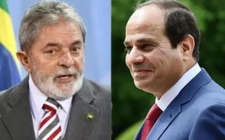 الرئيس البرازيلي يثمن المشاركة المصرية الفاعلة في اجتماعات مجموعة العشرين على مدار العام