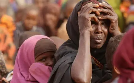 بعد موافقة البرلمان.. تعرف على أهمية مشروع قانون لجوء الأجانب في مصر