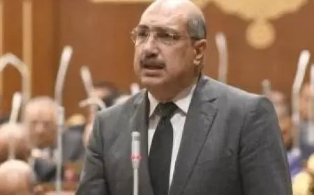 النائب إيهاب وهبة: قانون لجوء الأجانب يضمن حقوقهم وحرياتهم ويوفر لهم الرعاية الكاملة