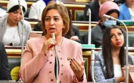 بعد واقعة الحفر بموقع أثري في الهرم.. النائبة مها عبدالناصر تطالب بإقرار كود موحد للتعامل مع الآثار