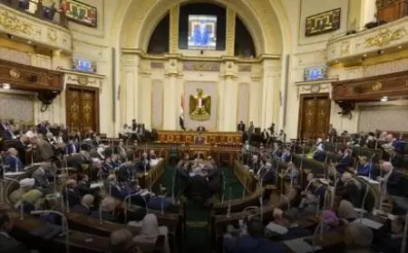 مجلس النواب يوافق على ضوابط منح صفة اللجوء