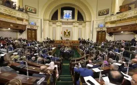 مجلس النواب: الفصل في طلب اللجوء خلال سنة في حال دخول البلاد بطريق غير شرعي