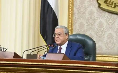 مجلس النواب ينتهي من 32 مادة من مشروع قانون تنظيم لجوء الأجانب.. تعرف على نصها