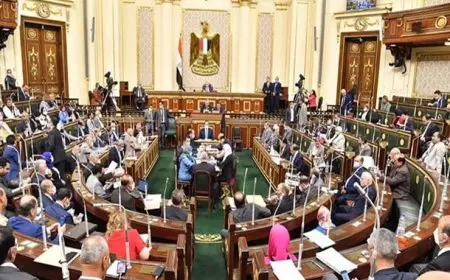 مجلس النواب يحظر إعادة اللاجئ قسرا لوطنه أو بلد إقامته