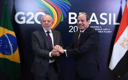 السيسي ودا سيلفا يقرران تدشين شراكة استراتيجية بين مصر والبرازيل