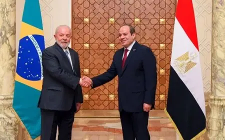 بيان مصري برازيلي.. 7 بنود تبرز الشراكة الاستراتيجية بين البلدين