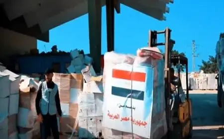 فيديو.. مصر تواصل تأمين وإدخال قوافل المساعدات الإنسانية إلى غزة