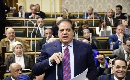 أبو العينين: سنذهب إلى المجلس الدولي لحقوق الإنسان في يناير ونحن مرفوعي الرأس