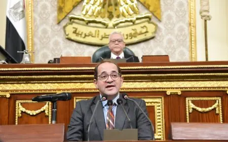 وزير المالية: هناك رغبة لعمل شراكة حقيقية مع مجتمع الأعمال