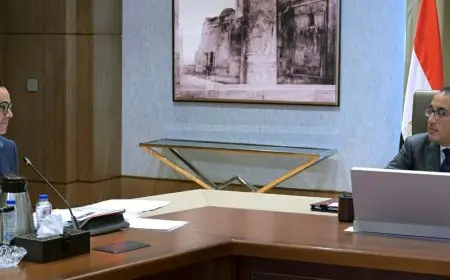 رئيس الوزراء يناقش مع وزير الاستثمار عددا من ملفات العمل