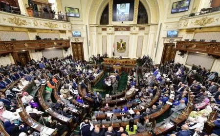 تفاصيل موافقة مجلس النواب على مشروع قانون لجوء الأجانب.. مزايا جديدة للاجئين