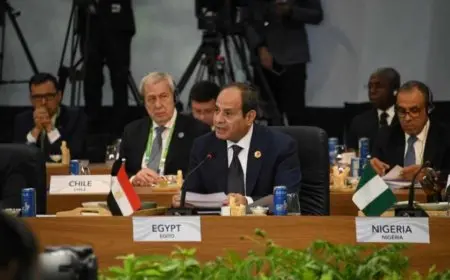 حزب المؤتمر: كلمة الرئيس السيسي في قمة العشرين وضعت رؤية شاملة لمعالجة القضايا العالمية