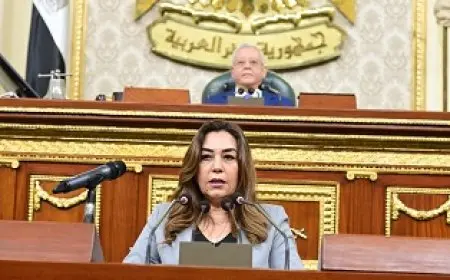 وزيرة التنمية المحلية تستعرض أمام النواب أولويات عمل الوزارة لمواجهة التحديات