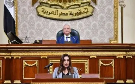 وزيرة التنمية المحلية: نعمل على تشغيل مشروعات المرحلة الأولى من حياة كريمة في 1477 قرية