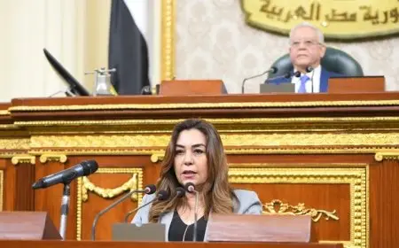 التنمية المحلية: استمرار التنسيق بين الحكومة والبرلمان للإسراع في إصدار قانون الإدارة المحلية