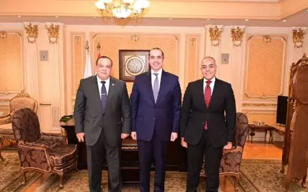 وزير الشئون النيابية يستقبل رئيس الهيئة الوطنية للانتخابات ومدير جهازها التنفيذي | صور