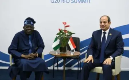 على هامش قمة العشرين.. السيسي ونظيره النيجيري يبحثان أوضاع السلم والأمن في القارة الأفريقية