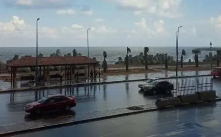 الأرصاد تحذر من حالة الطقس غدا الأربعاء 20 نوفمبر 2024.. أمطار بهذه المناطق