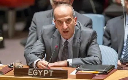 مصر تطالب مجلس الأمن بوقف إطلاق النار في غزة وحظر تصدير السلاح لإسرائيل