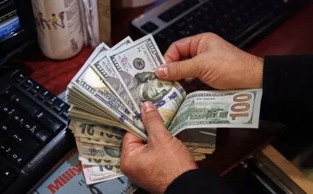 سعر الدولار اليوم الأربعاء 20 نوفمبر 2024 في مصر