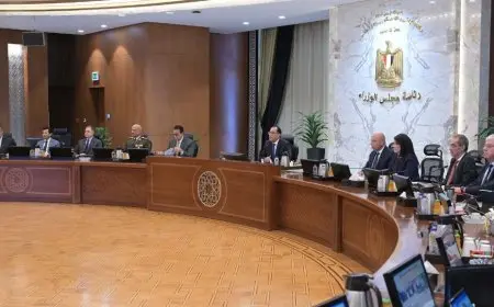 مجلس الوزراء يوافق على إنشاء منطقة حرة خاصة لإنتاج 2.850 مليون قطعة ملابس سنوياً