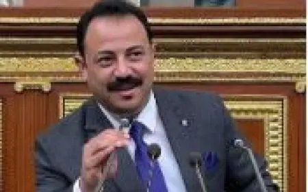 النائب عصام دياب: 90% من محتوى تيك توك غير هادف ويهدد الأمن القومي.. والتطبيق أصبح مصدر رزق غير شرعي