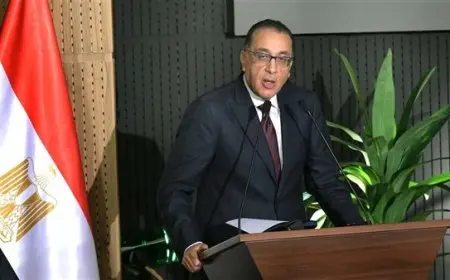 رئيس الوزراء: مشروع الربط الكهربائي مع اليونان يسير بقوة