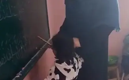 «التضامن» تكشف مفاجأة في واقعة اعتداء مدرسة على طفلة بحضانة