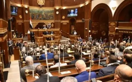 الأحد.. مجلس الشيوخ يستأنف جلساته بمناقشة سجل المستوردين وتسجيل السفن التجارية